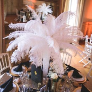 Plume d&rsquo;autruche