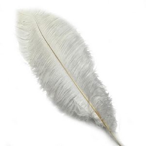 Plume d&rsquo;autruche
