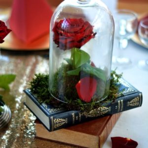 Cloche verre