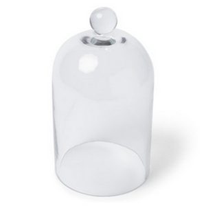 Cloche verre