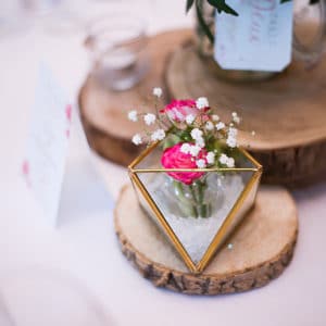 Terrarium Or 1