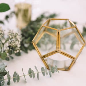 Terrarium Or 2