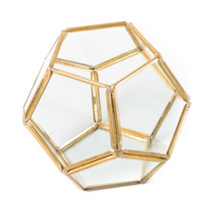 Terrarium Or 2