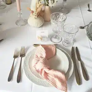 Couteau de table – Champagne