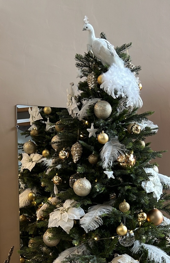 Paon blanc – Image 2