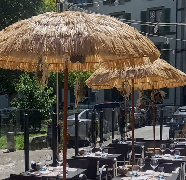 Parasol raphia – Image 4