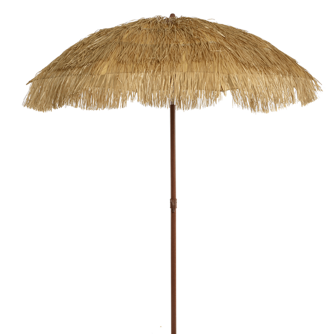 Parasol raphia