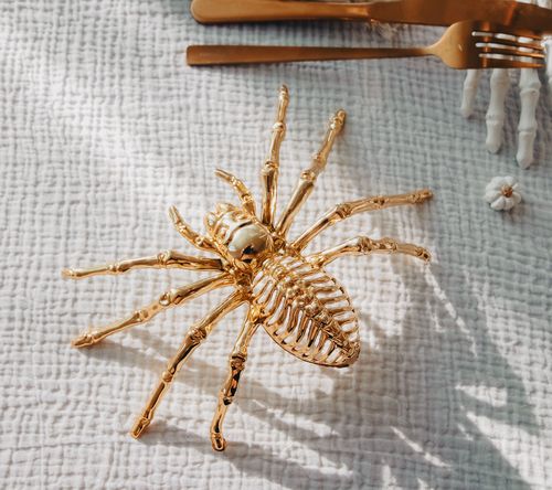 Araignée dorée – Image 2