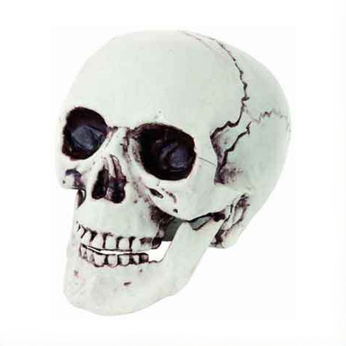 Tête de mort à poser